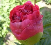 mary-joe-legare (2)